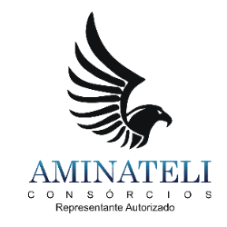 MINATELI VOLKS